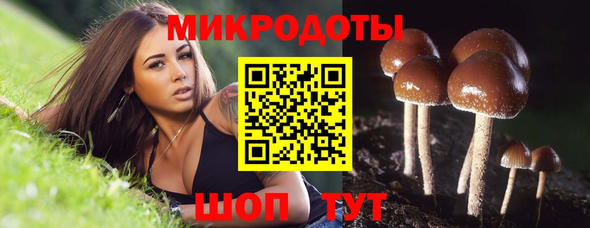 Псилоцибиновые грибы мицелий  Вход с VPN  Сарапул 